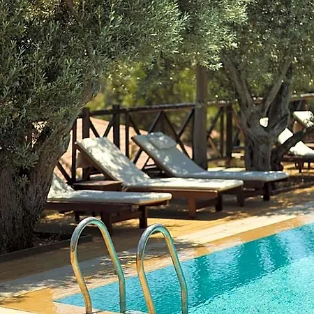 Boho Garden Selimiye 酒店 马尔马里斯